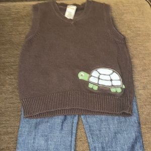 Turtle Vest